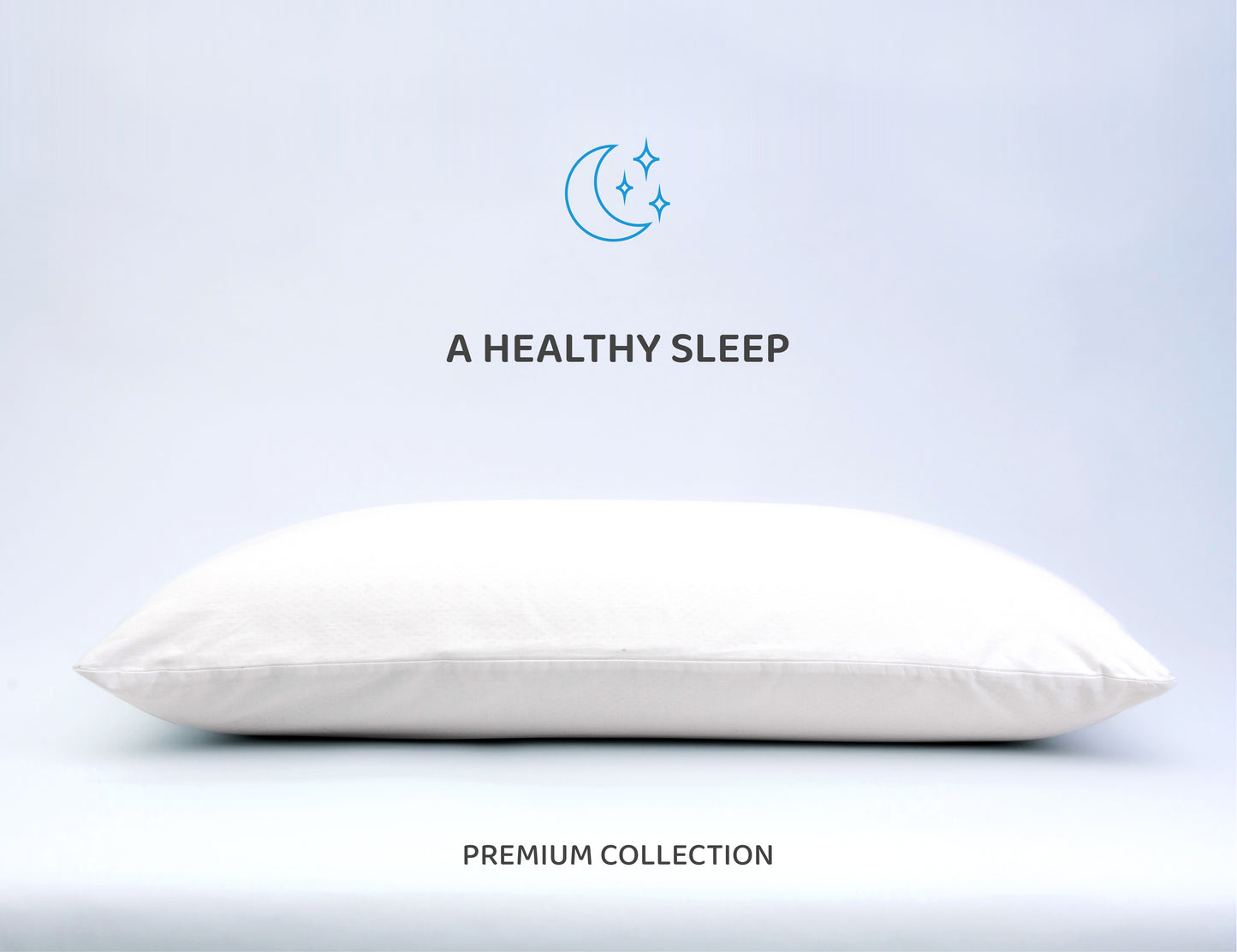 Queen Size Natural Latex Pillow