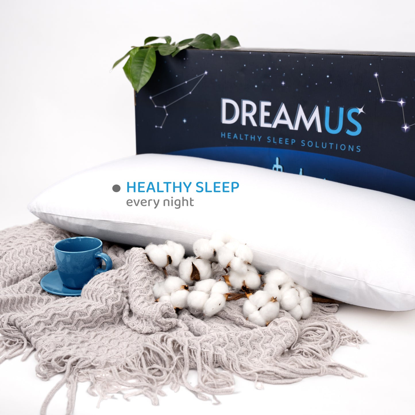 King Size Natural Latex Pillow