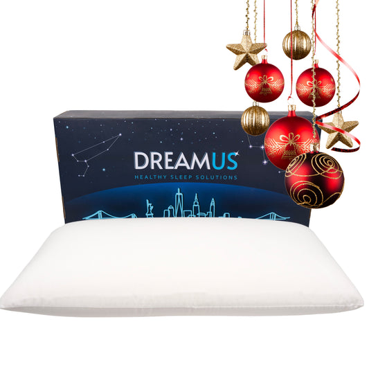 King Size Natural Latex Pillow