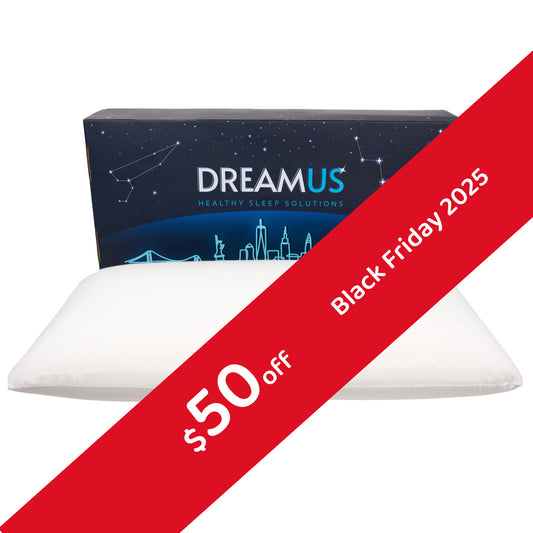 King Size Natural Latex Pillow